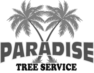 Paradise Tree Service