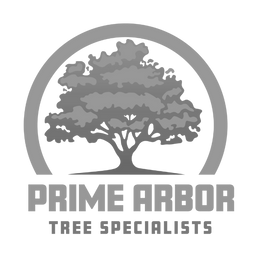 Prime Arbor Tree Specialists